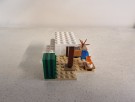 21251 - Steve's Desert Expedition fra 2024 thumbnail