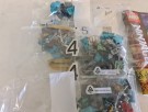 71746 - Jungle Dragon fra 2021 thumbnail