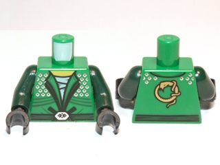 Torso Ninja Robe with Silver Diamonds and Dark Green Trim over White Layered Shirt, Sash Belt with Hexagon Buckle, Yellow Neck, Gold Snake on Back Pattern / Dark Green Arms / Black Hands
I god stand.
