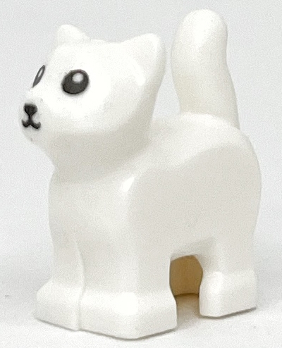 Cat, Baby Kitten, Standing with Black Nose and Eyes with White Pupils Pattern
I god stand.